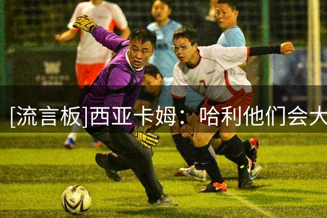 [流言板]西亚卡姆：哈利他们会大量持球，其他人得换种方式影响比赛